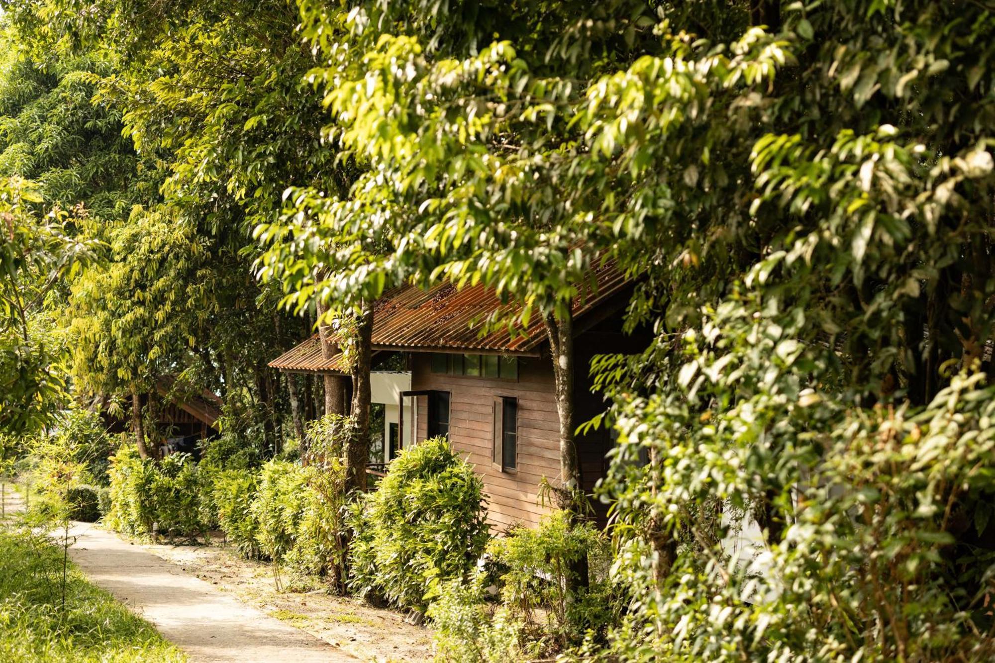 Barefoot Project Formerly Baan Klong Kleng Hotel Koh Phayam Exterior photo